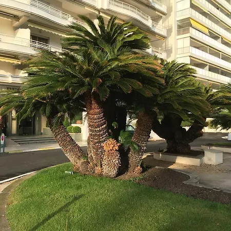 Sur Croisette Διαμέρισμα Κάννες